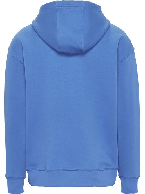 SWEATSHIRT TJM REG LINEAR HOODIE