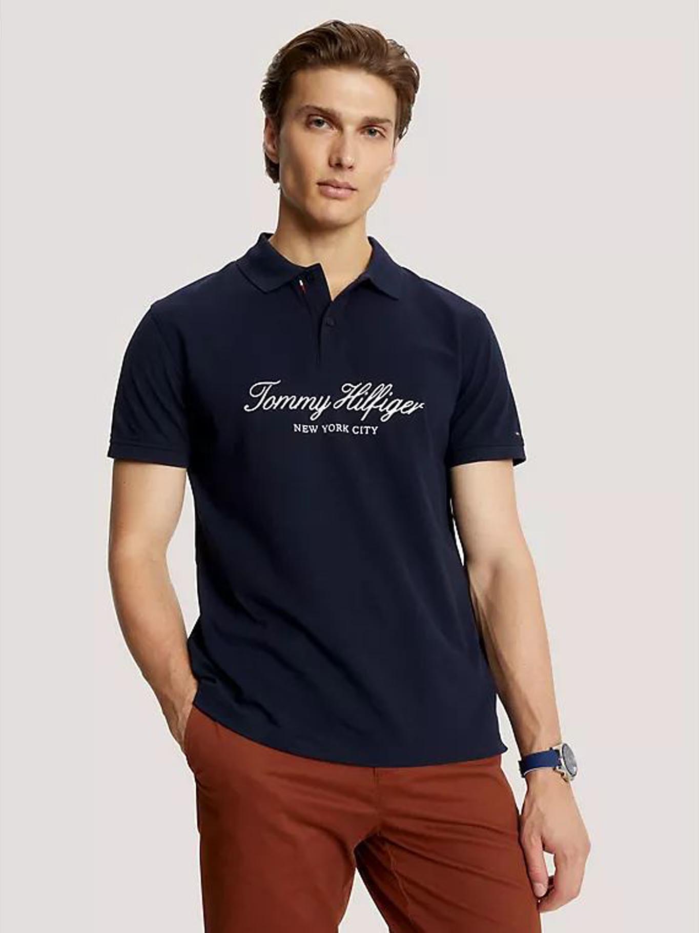 Polos de tommy hilfiger hombre online