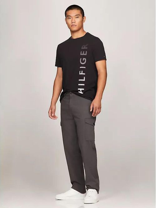 CAMISETA M VERTICAL HILFIGER GRADIENT T