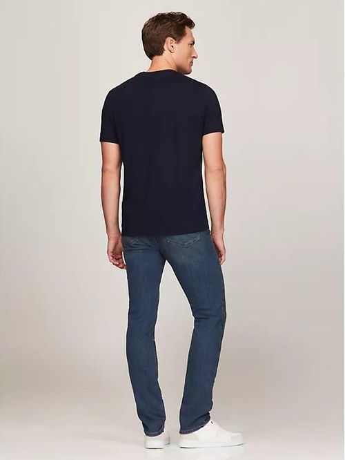 CAMISETA M VERTICAL HILFIGER GRADIENT T