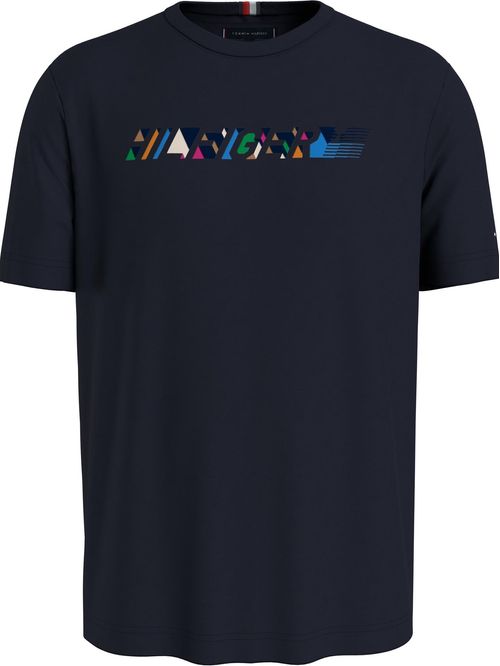 CAMISETA MULTICOLOUR HILFIGER TEE TH