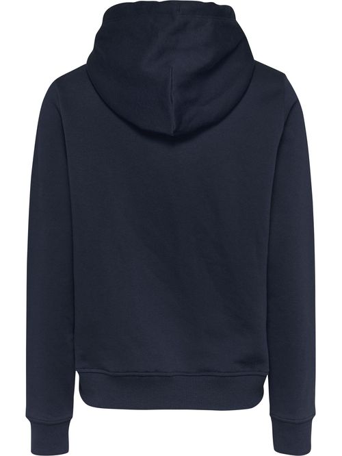 SWEATSHIRT TJW REG LINEAR HOODIE