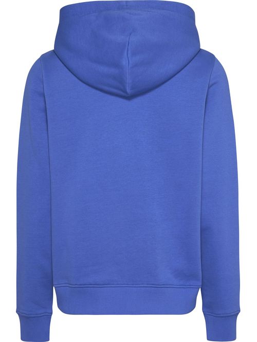 SWEATSHIRT TJW REG LINEAR HOODIE