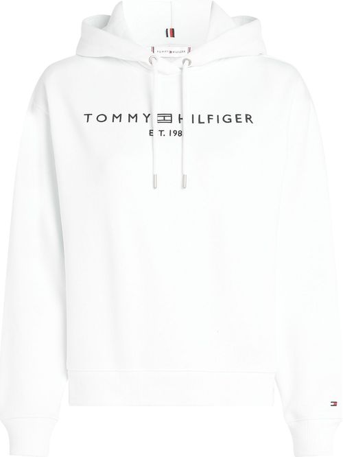 SWEATSHIRT MDRN REG CORP LOGO HOODIE