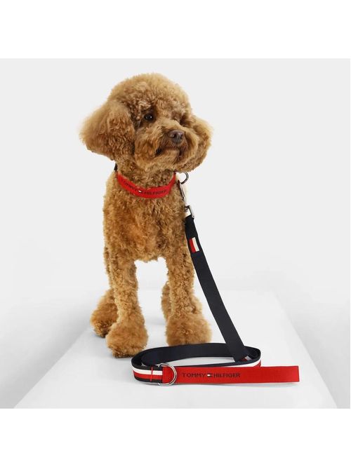 CORREA DOG WEBBING LEASH TH