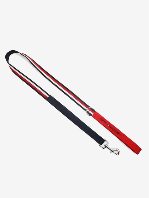CORREA DOG WEBBING LEASH TH