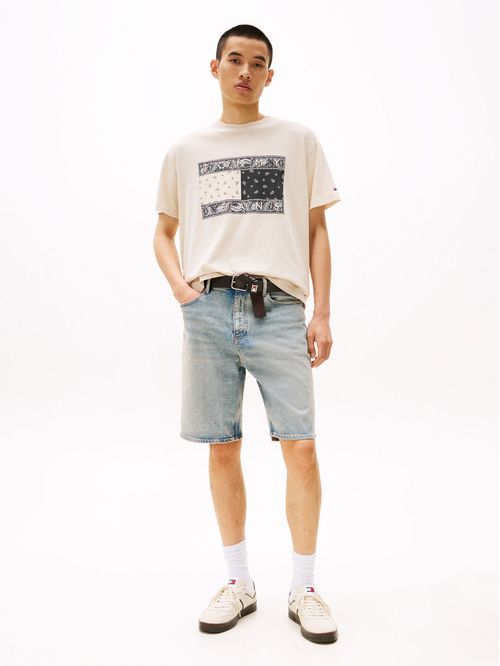 CAMISETA TJM RLX PAISLEY FLAG TEE EXT