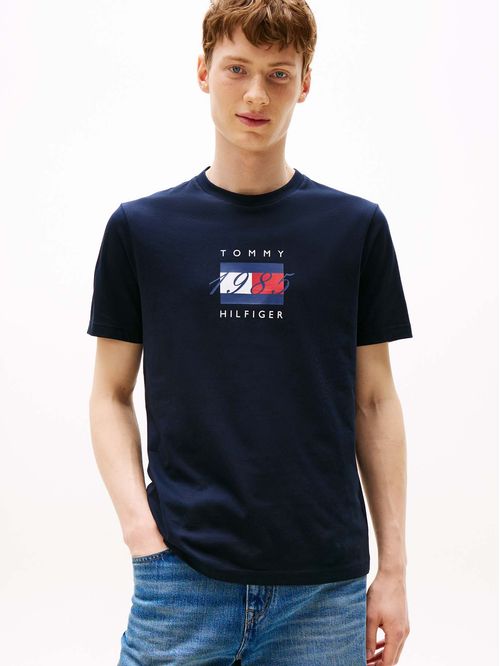 CAMISETA LINEAR FLAG GRAPHIC TEE