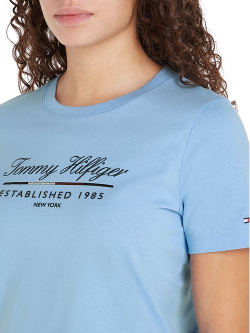 CAMISETA M/C REG SCRIPT GRAPHIC C-NK SS TH