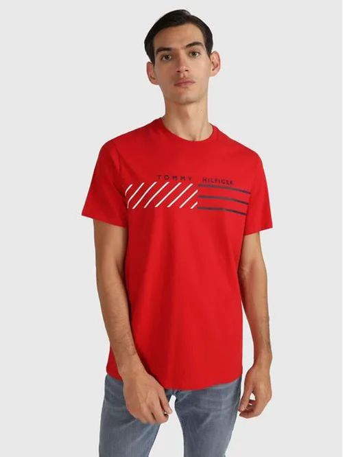 CAMISETA M/C LIC M CHESTER TEE TH